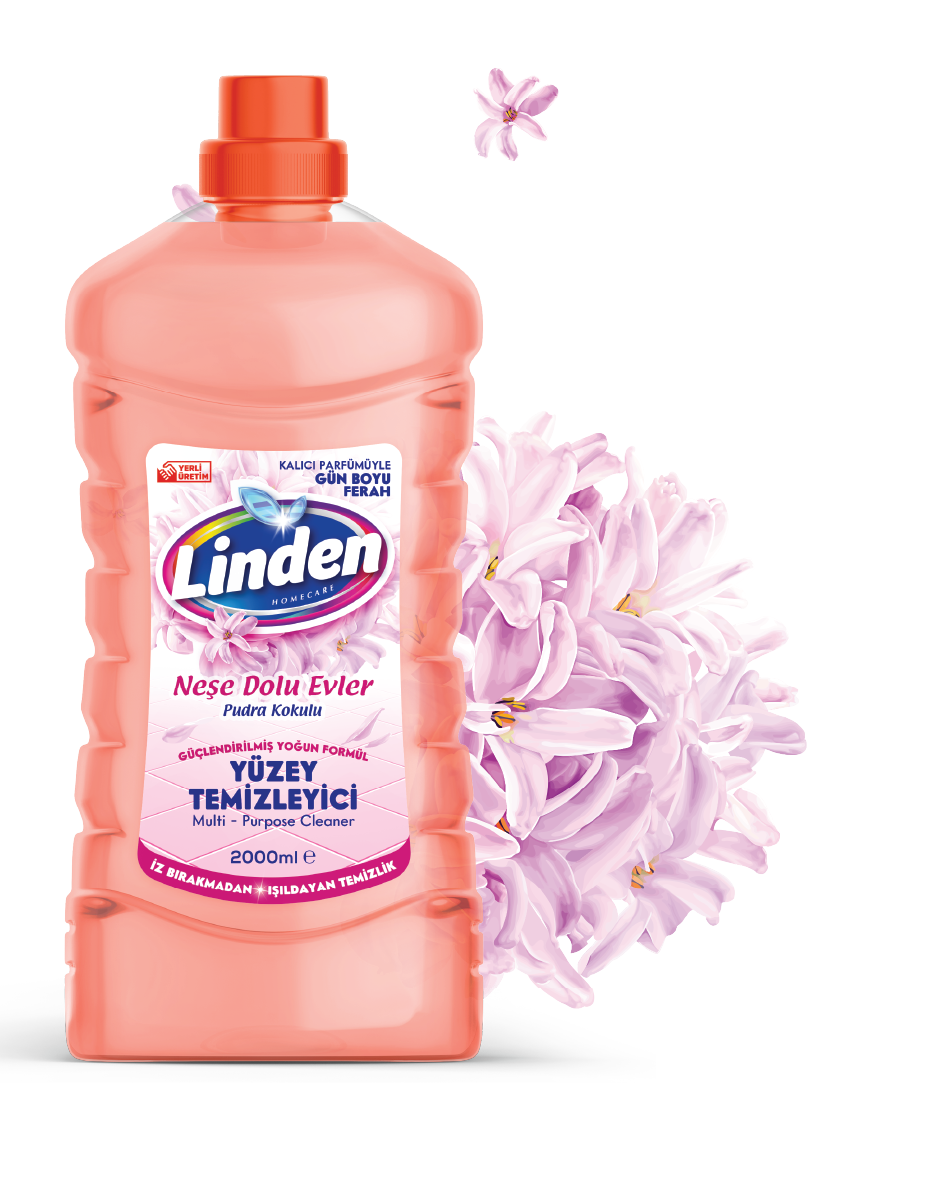 yuzey-temizleyici-pudra-2lt